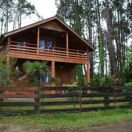 Green Cottage Shekvetili Ureki Zewnętrze zdjęcie