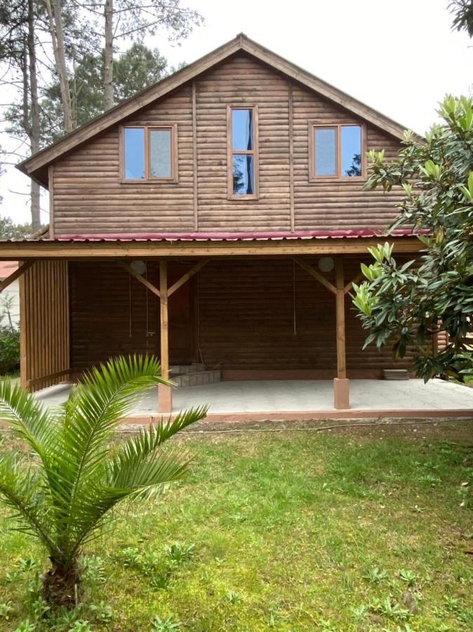 Green Cottage Shekvetili Ureki Zewnętrze zdjęcie