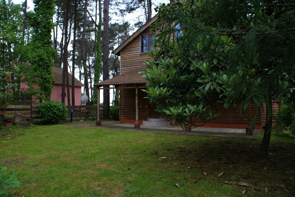 Green Cottage Shekvetili Ureki Zewnętrze zdjęcie