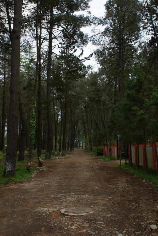 Green Cottage Shekvetili Ureki Zewnętrze zdjęcie
