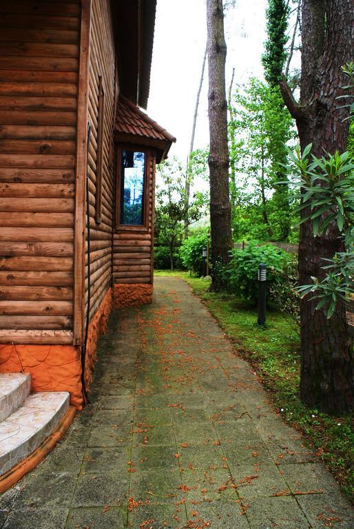 Green Cottage Shekvetili Ureki Zewnętrze zdjęcie