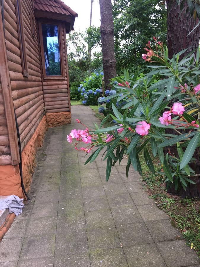 Green Cottage Shekvetili Ureki Zewnętrze zdjęcie