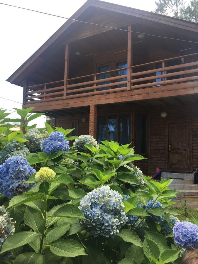 Green Cottage Shekvetili Ureki Zewnętrze zdjęcie